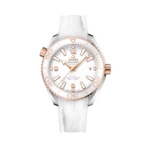 Seamaster Planet Ocean 600M