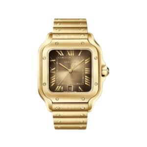 Santos de Cartier horloges
