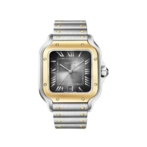 Santos de Cartier horloges