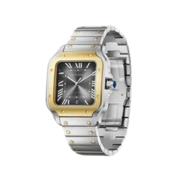 Santos de Cartier horloges - Afbeelding 2